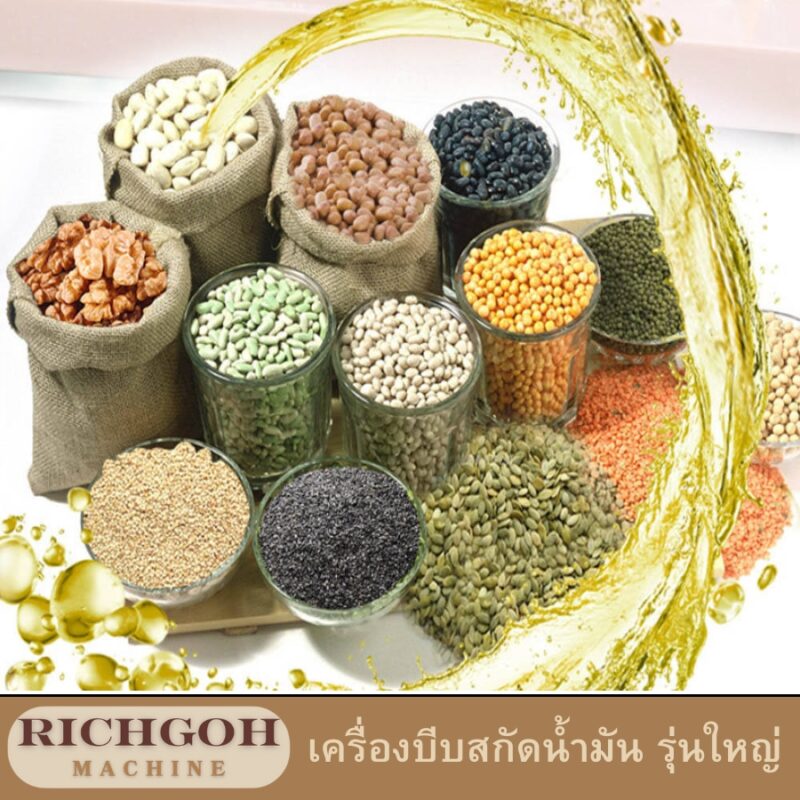 เครื่องบีบสกัดน้ำมัน รุ่นใหญ่ เป็นเครื่องมือที่น่าสนใจสำหรับผู้ที่ใส่ใจสุขภาพและต้องการมีน้ำมันคุณภาพสูงไว้ใช้เอง สกัดได้ทั้งร้อนและเย็น