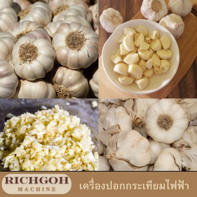 เครื่องปอกกระเทียมไฟฟ้า เป็นอุปกรณ์ที่ออกแบบมาเพื่อช่วยให้การปอกเปลือกกระเทียมเป็นเรื่องง่ายดายและสะดวกสบายยิ่งขึ้น ไม่ว่าจะเป็นการทำอาหารในครัวเรือนหรือในร้านอาหาร เครื่องปอกกระเทียมไฟฟ้าจะช่วยประหยัดเวลาและแรงงานของคุณได้อย่างมาก